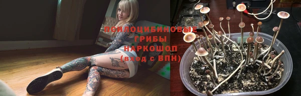 ПСИЛОЦИБИНОВЫЕ ГРИБЫ Лиски
