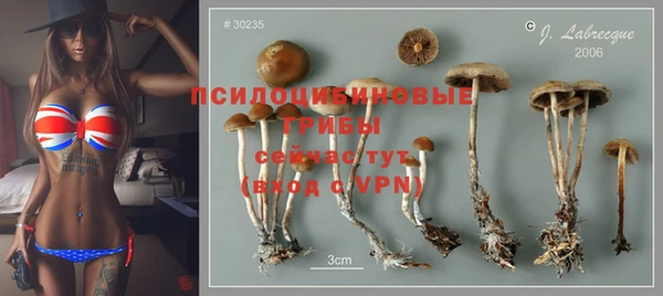 дживик Майский