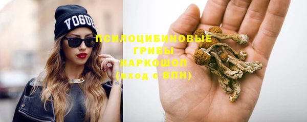 spice Магадан