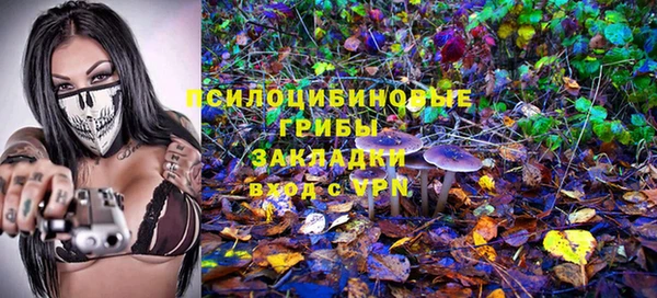 ПСИЛОЦИБИНОВЫЕ ГРИБЫ Лиски
