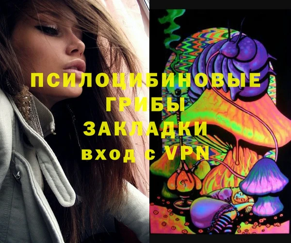 PSILOCYBIN Магас