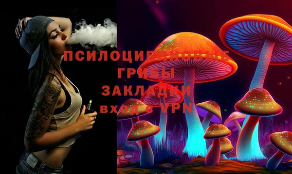 PSILOCYBIN Магас