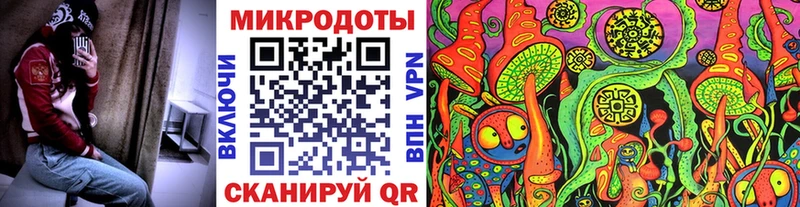 Галлюциногенные грибы Psilocybe  наркота  Сысерть 
